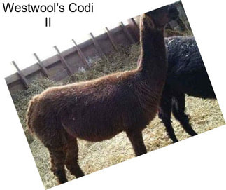 Westwool\'s Codi II