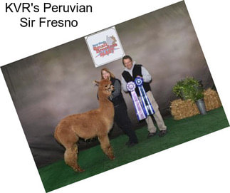 KVR\'s Peruvian Sir Fresno