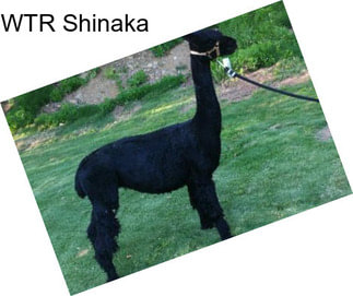 WTR Shinaka