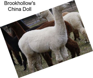 Brookhollow\'s China Doll