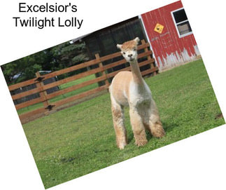 Excelsior\'s Twilight Lolly