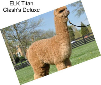 ELK Titan Clash\'s Deluxe
