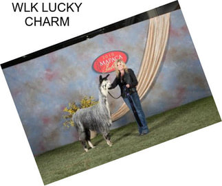 WLK LUCKY CHARM