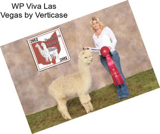 WP Viva Las Vegas by Verticase