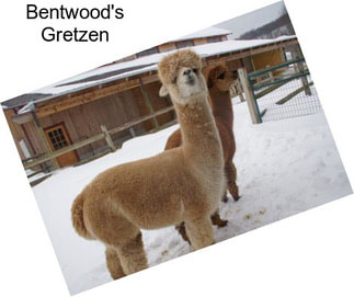 Bentwood\'s Gretzen