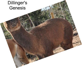 Dillinger\'s Genesis