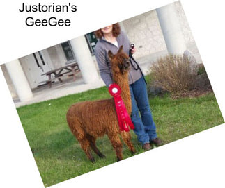 Justorian\'s GeeGee