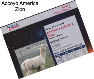 Accoyo America Zion