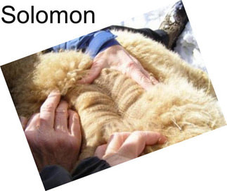 Solomon