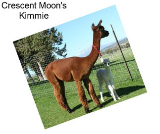 Crescent Moon\'s Kimmie