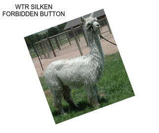 WTR SILKEN FORBIDDEN BUTTON