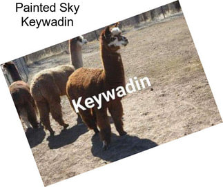 Painted Sky Keywadin
