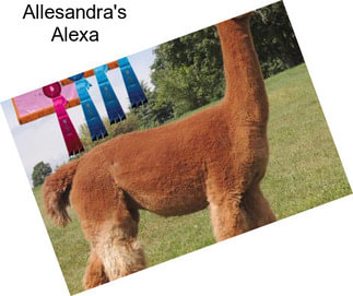 Allesandra\'s Alexa