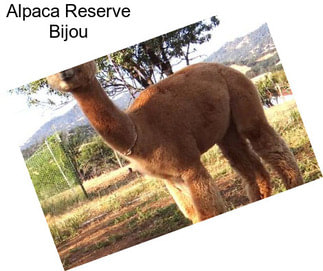 Alpaca Reserve Bijou