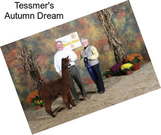 Tessmer\'s Autumn Dream