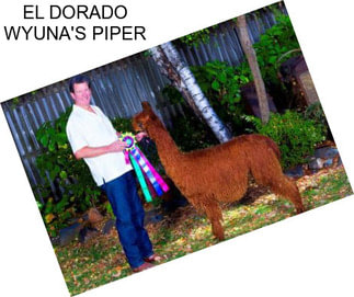 EL DORADO WYUNA\'S PIPER