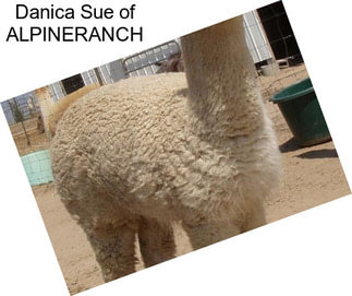 Danica Sue of ALPINERANCH
