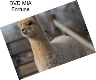 DVD MIA Fortune