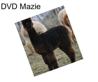 DVD Mazie