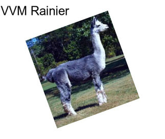 VVM Rainier