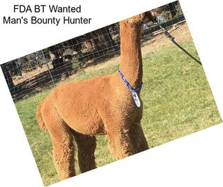 FDA BT Wanted Man\'s Bounty Hunter