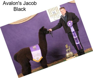 Avalon\'s Jacob Black