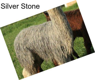 Silver Stone