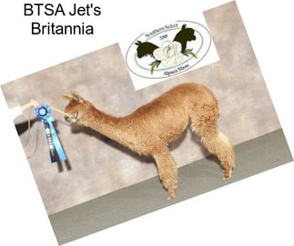 BTSA Jet\'s Britannia