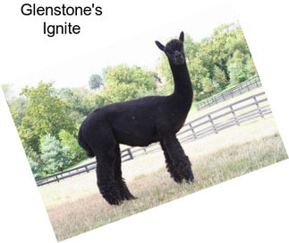 Glenstone\'s Ignite