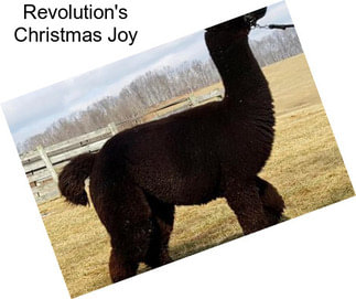 Revolution\'s Christmas Joy