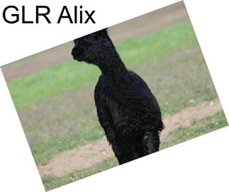 GLR Alix