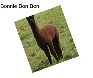 Bonnie Bon Bon