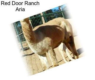 Red Door Ranch Aria