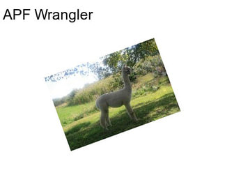 APF Wrangler
