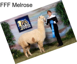 FFF Melrose