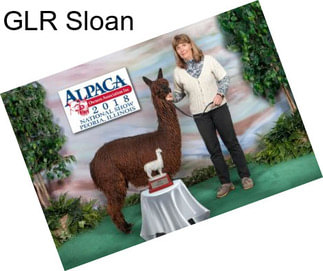 GLR Sloan
