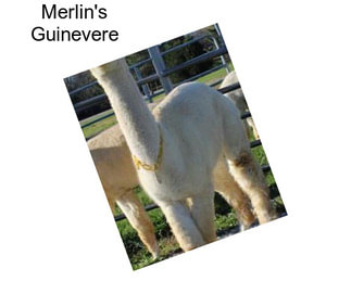 Merlin\'s Guinevere