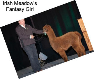 Irish Meadow\'s Fantasy Girl