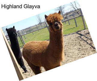 Highland Glayva