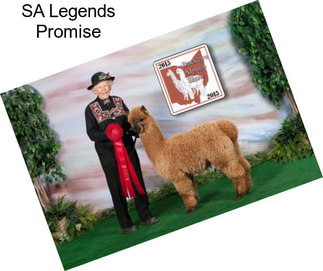 SA Legends Promise