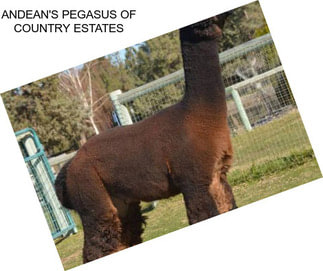 ANDEAN\'S PEGASUS OF COUNTRY ESTATES