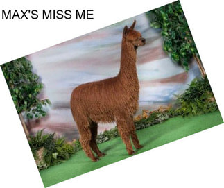 MAX\'S MISS ME