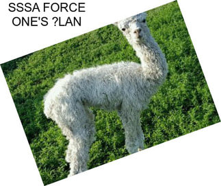 SSSA FORCE ONE\'S ?LAN