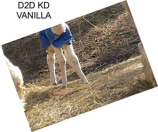 D2D KD VANILLA