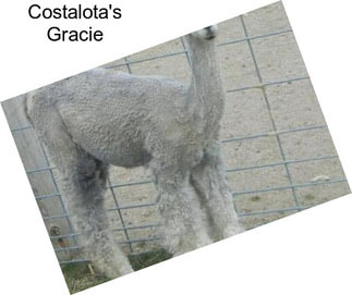 Costalota\'s Gracie