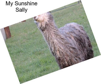 My Sunshine Sally