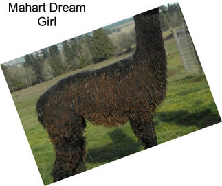 Mahart Dream Girl