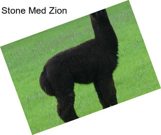 Stone Med Zion