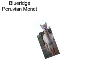 Blueridge Peruvian Monet