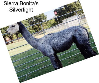 Sierra Bonita\'s Silverlight